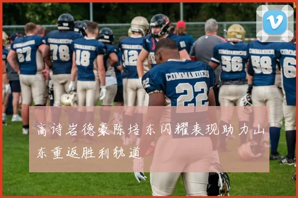 高诗岩德豪陈培东闪耀表现助力山东重返胜利轨道